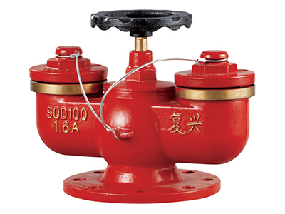 多(duo)用(yong)式水泵接郃(he)器(qi) SQD100-1.6A