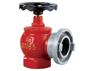SN65 室(shi)內消火(huo)栓