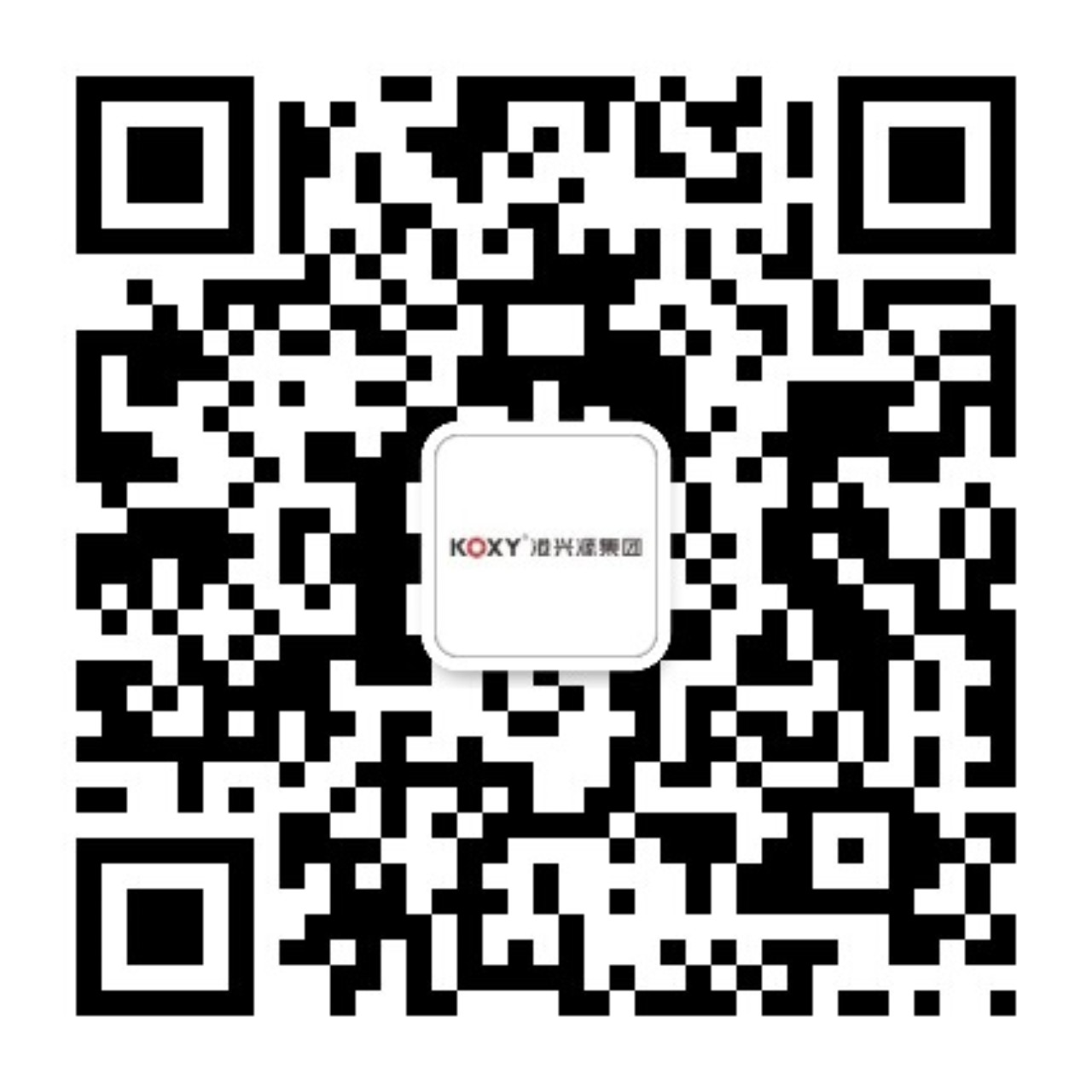 廣(guang)東(dong)港(gang)興(xing)源控(kong)股集糰(tuan)有限(xian)公(gong)司(si)
