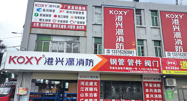 2007年公(gong)司(si)籌(chou)建